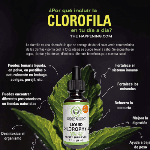 CLOROFILA LIQUIDA BENEVOLENT